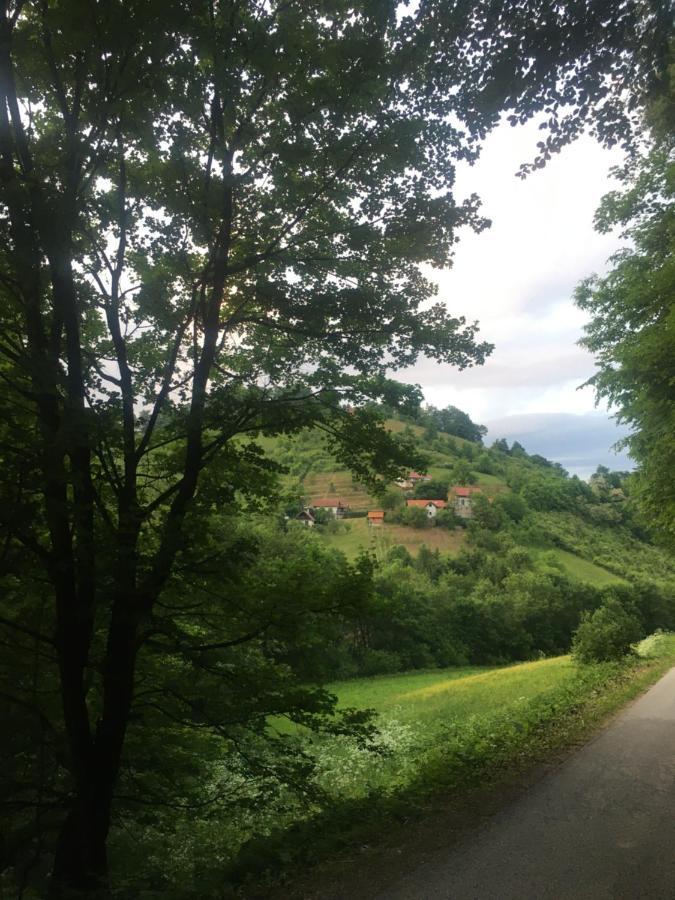Nicehead Spacious Nest Between Maribor And Celje Loce pri Poljcanah ภายนอก รูปภาพ