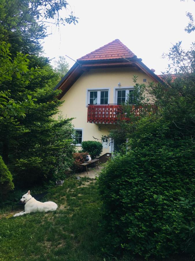 Nicehead Spacious Nest Between Maribor And Celje Loce pri Poljcanah ภายนอก รูปภาพ