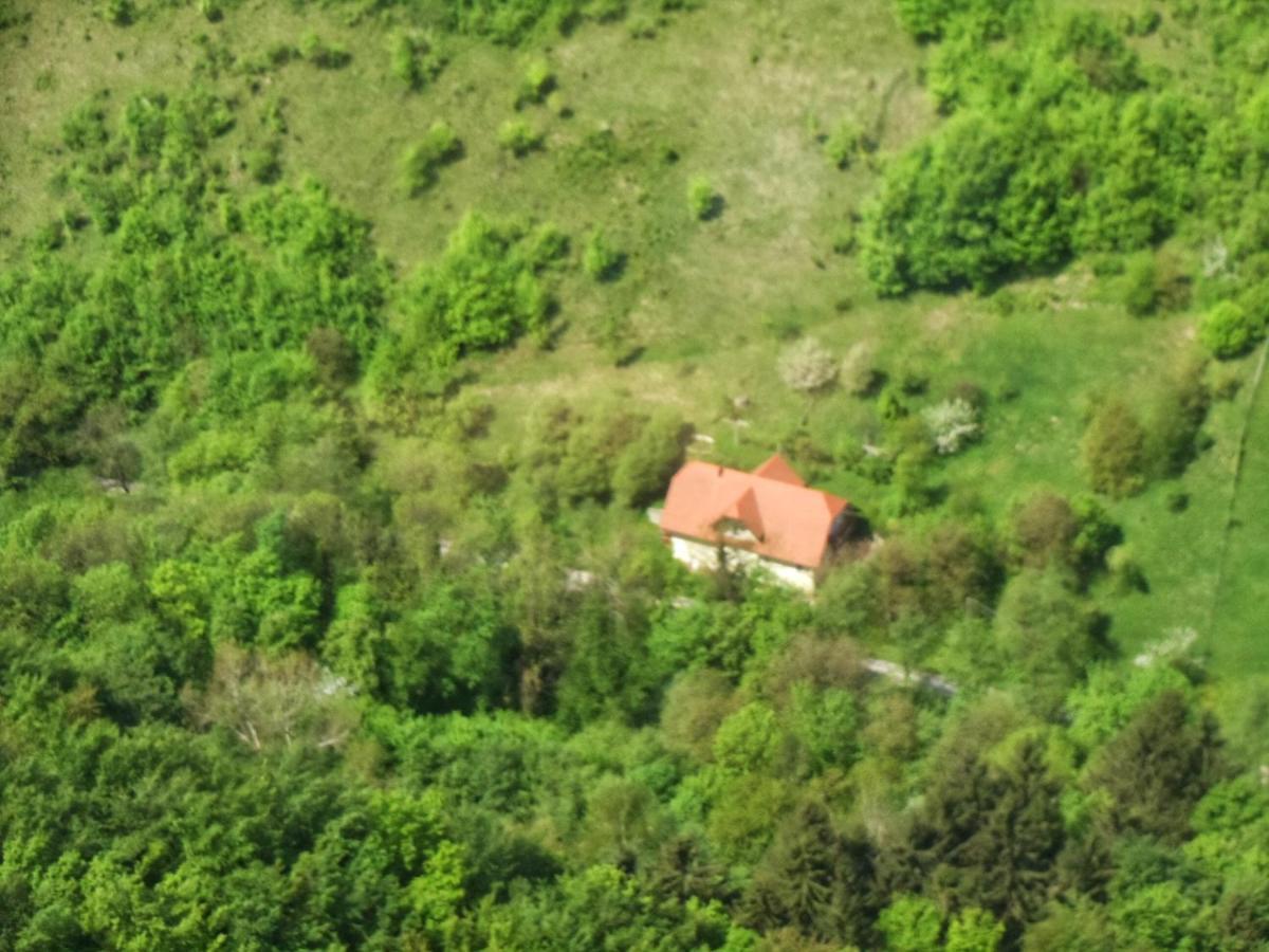 Nicehead Spacious Nest Between Maribor And Celje Loce pri Poljcanah ภายนอก รูปภาพ