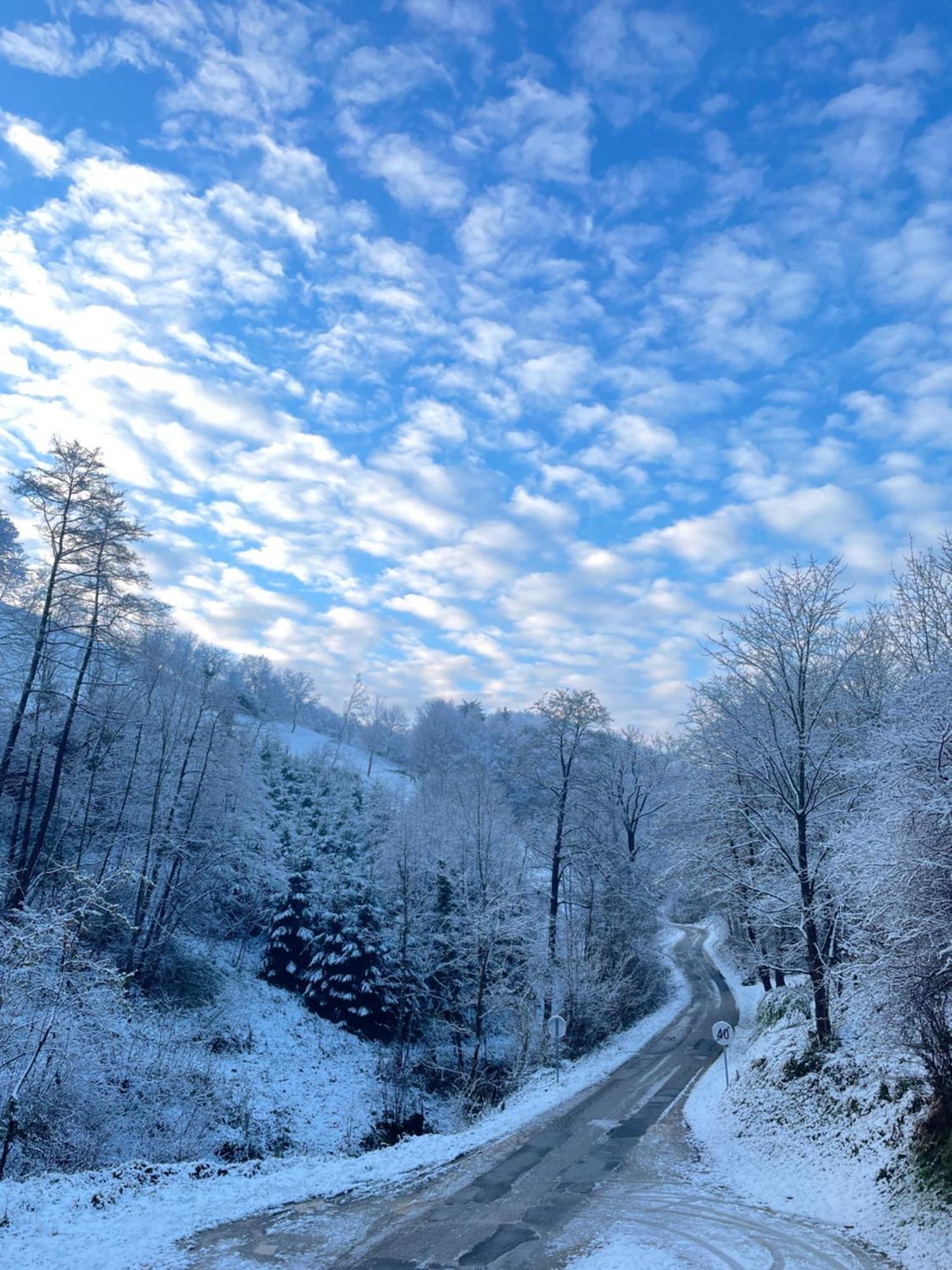 Nicehead Spacious Nest Between Maribor And Celje Loce pri Poljcanah ภายนอก รูปภาพ